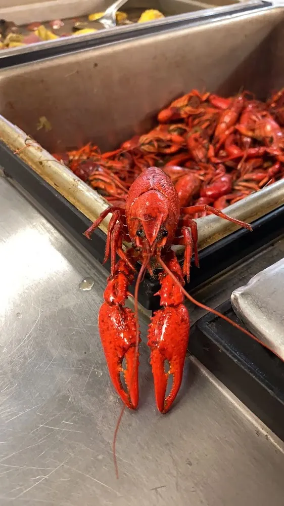 Crayfish